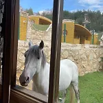 Iznik Ciftligi Çandarlı