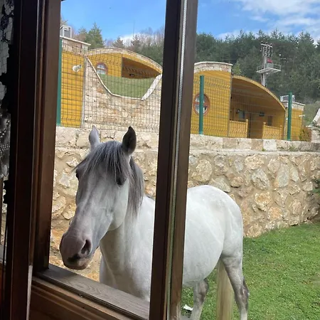 Iznik Ciftligi Çandarlı