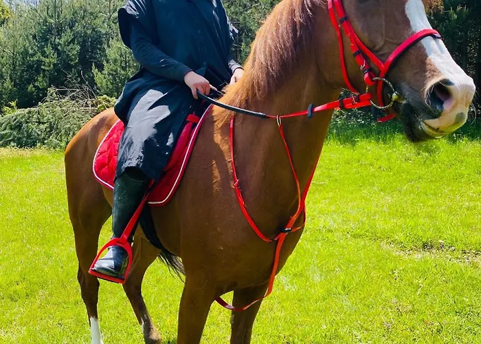 Iznik Ciftligi Çandarlı