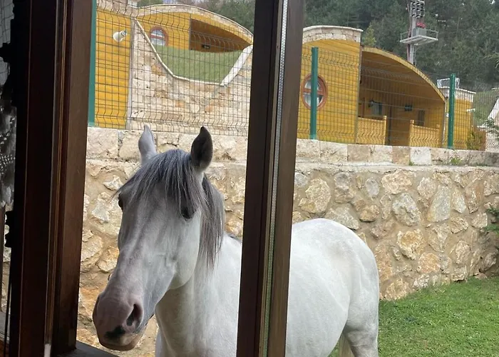 Iznik Ciftligi Çandarlı