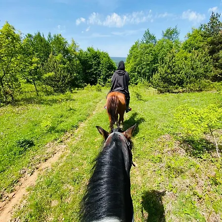 Lodge Iznik Ciftligi Çandarlı