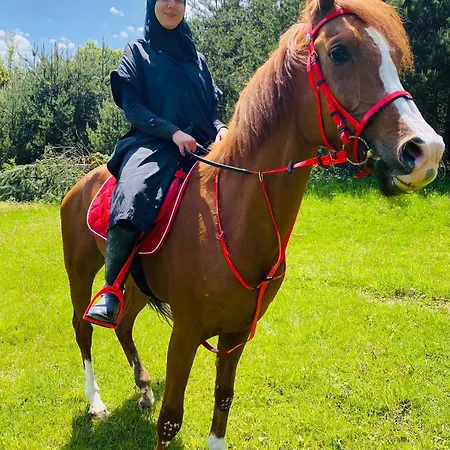 Iznik Ciftligi Çandarlı