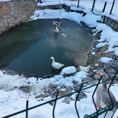 Iznik Ciftligi 山林小屋