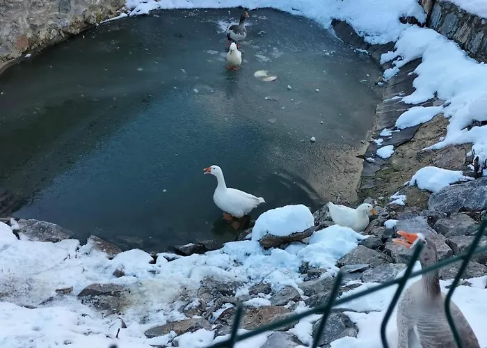 Iznik Ciftligi Chata